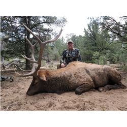 5 day - New Mexico Elk, Mule Deer, and Black Bear Archery Combo Hunt for 2 hunters