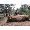 Image 1 : 5 day - New Mexico Elk, Mule Deer, and Black Bear Archery Combo Hunt for 2 hunters