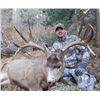 Image 1 : 5 day - New Mexico Mule Deer Rifle Hunt for 2 Hunters