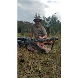 2 Day - Florida Alligator Hunt for 1 Hunter and 1 Non-Hunter