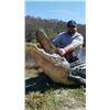 Image 2 : 2 Day - Florida Alligator Hunt for 1 Hunter and 1 Non-Hunter
