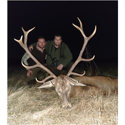 2 day/2 night - Iberian Red Deer Hunt near Toledo, Spain for 1 Hunter