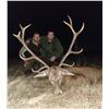 Image 1 : 2 day/2 night - Iberian Red Deer Hunt near Toledo, Spain for 1 Hunter