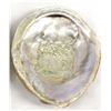 Image 4 : Set of 3 Abalone Shells