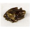 Image 4 : Zuni Carved Travertine Frog Fetish, Ricky Laahty