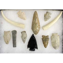 Collection of Arrowheads and 2 Tusks