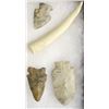 Image 4 : Collection of Arrowheads and 2 Tusks