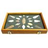 Image 1 : Spearpoints & Arrowheads in Wood Display Box