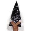 Image 2 : Large Obsidian and Cholla Cactus Lance