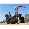 Image 1 : 7-DAY TROPHY SABLE HUNT HORN'S AFRICA SAFARIS
