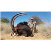 Image 2 : 7-DAY TROPHY SABLE HUNT HORN'S AFRICA SAFARIS