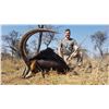 Image 3 : 7-DAY TROPHY SABLE HUNT HORN'S AFRICA SAFARIS
