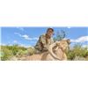 Image 3 : FREE RANGE AOUDAD HUNT FOR 1 HUNTER WITH DOUBLE DIAMOND OUTFITTERS