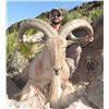 Image 6 : FREE RANGE AOUDAD HUNT FOR 1 HUNTER WITH DOUBLE DIAMOND OUTFITTERS