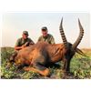 Image 3 : 10-DAY TANZANIA BUFFALO HUNT WITH ADAM CLEMENTS SAFARIS