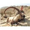 Image 3 : SINDH IBEX HUNT IN PAKISTAN WITH CAPRINAE SAFARIS