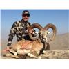 Image 4 : SINDH IBEX HUNT IN PAKISTAN WITH CAPRINAE SAFARIS