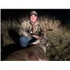 Image 2 : 4-DAY WHITETAIL BUCK HUNT WITH ODIN OUTFITTERS