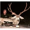 Image 3 : GOLD HIGH FENCE MULE DEER UP TO 169" WITH EL CHAPPARAL