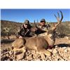 Image 6 : GOLD HIGH FENCE MULE DEER UP TO 169" WITH EL CHAPPARAL