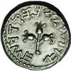 Image 1 : Judaea. First Jewish War. 66-70 C.E. AR shekel (23 mm, 