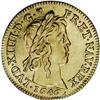 Image 1 : Louis XIV gold Louis d''or a la meche longue 1646A (Par 
