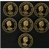 Image 1 : Elizabeth II, Proof Gold Pound Assortment, including 19 