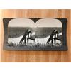 Image 2 : Vintage Keystone Stereoview Card, Flooding A Rice Field, South Carolina