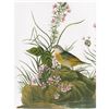 Image 1 : c1946 Audubon Print, #130 Grasshopper Sparrow