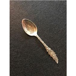 19thc Sterling Silver Niagara Demitasse Collectible Souvenir Spoon