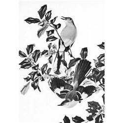 1950 Menaboni Print, Mocking Bird ( Black/White )