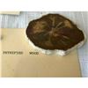 Image 2 : Petrified Conifer Wood Fossil Display Specimen