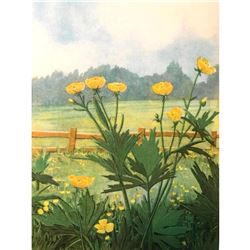1920's Buttercup Color Lithograph Print