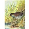 Image 1 : 1920's Sora Color Lithograph Print