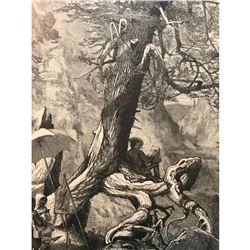 19thc Wood Engraving, Above The Natural Bridge, Virginia