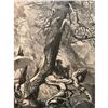 Image 1 : 19thc Wood Engraving, Above The Natural Bridge, Virginia