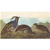 Image 1 : c1946 Audubon Print, #423 Mountain Quail