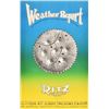 Image 1 : Ritz Theatre Weather Report Poster by Jim Franklin
