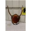Image 1 : Mounted Elk Mount-PERMIT CODE DA8