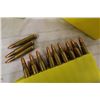 Image 2 : 36 Rounds 222 Mag Shels & Extra Ammo Case