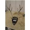 Image 1 : Silver Horn Ornament 16" L