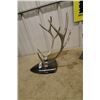 Image 2 : Silver Horn Ornament 16" L