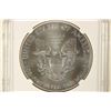 Image 2 : 2014 AMERICAN SILVER EAGLE NGC MS70 1ST RELEASES