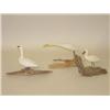 Image 2 : LOT (3) CARVED BIRDS ON DRIFTWOOD BASES: (2) WHITE HERO