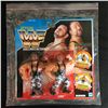 Image 1 : WWF The Bushwhackers Action Figure 2-Pack [Butch 