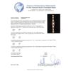 Image 3 : 0.87 ctw Diamond Brooch - 18KT White Gold