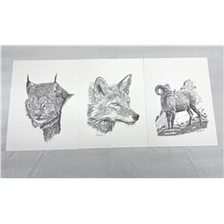 Hap Wilson Animal Prints