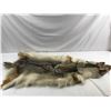 Image 1 : Wolf/coyote pelt