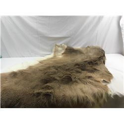 Animal Pelt
