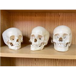 3 skulls